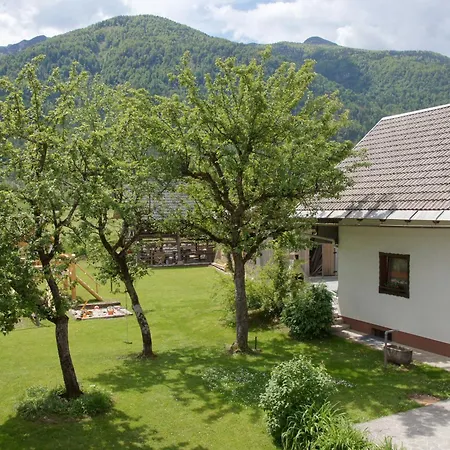 Apartma Hkavc Markez